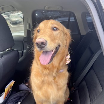 Ipet Grooming & Boarding - Pet Groomers Near Me - Dublin, California