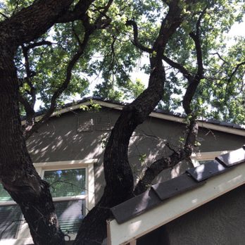 Valley Falls Tree Care - Before - Tree Services Near Me Valley Falls Tree Care - Before - Tree Services Near Me