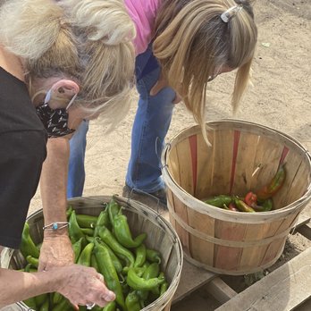 Chavez Farms - Fruits & Veggies Near Me - Los Lunas, New Mexico Chavez Farms - Fruits & Veggies Near Me - Los Lunas, New Mexico