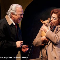 The Public Theatre - PJ Benjamin, Louisa Flaningam and Charlie in The Last Romance - May 2013