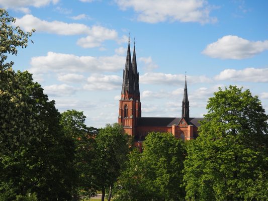 Uppsala Castle by null