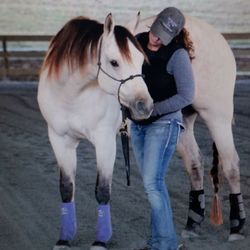 Equistarre Horsemanship
