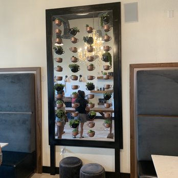 The Coffee Class - Lovely interior - Coffee & Tea Near Me - Las Vegas, Nevada