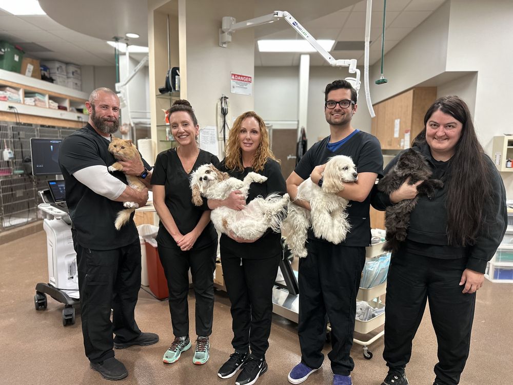 ALICIA PACIFIC VETERINARY CENTER Updated May 2024 59 Photos & 137