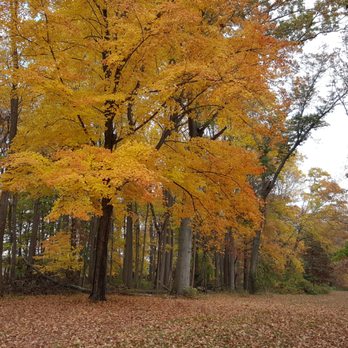 Lake Topanemus Park - Fall foliage - Parks Near Me - Freehold Township, New Jersey Lake Topanemus Park - Fall foliage - Parks Near Me - Freehold Township, New Jersey