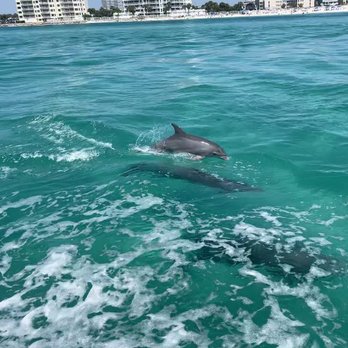Boogies Watersports - Dolphins - Boating Near Me - Destin, Florida