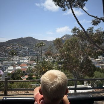 Catalina Island - Tours Near Me - Avalon, California Catalina Island - Tours Near Me - Avalon, California