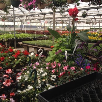 Marvin's Gardens - Nurseries & Gardening Near Me - Sandy, Utah Marvin's Gardens - Nurseries & Gardening Near Me - Sandy, Utah