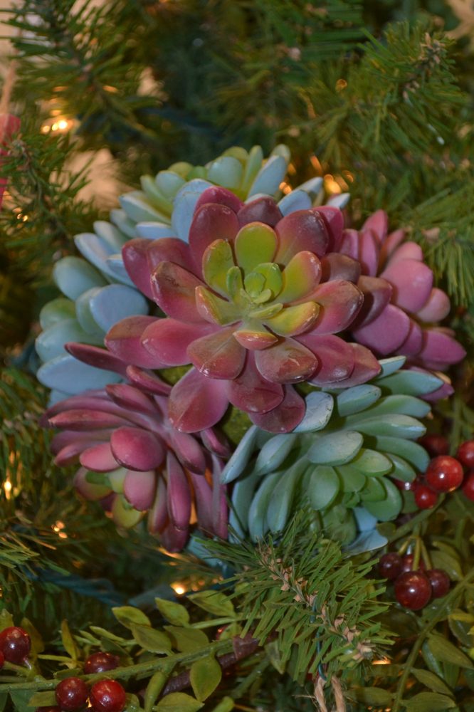 BLUE SKY GARDEN CENTER Updated May 2024 1663 Vantage Hwy