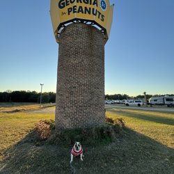 World's Largest Peanut - My Annie with giant Peanut