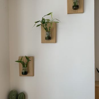 Sinceretea - Wall decor - cactus theme - Bubble Tea Near Me - San Jose, California Sinceretea - Wall decor - cactus theme - Bubble Tea Near Me - San Jose, California