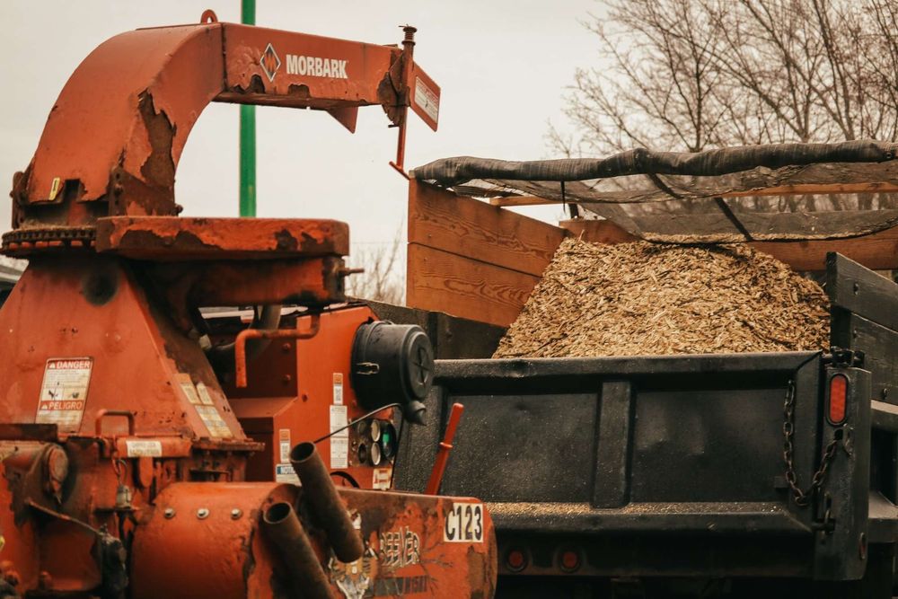 A To Z Buffalo Trees - tree service in Lockport, NY