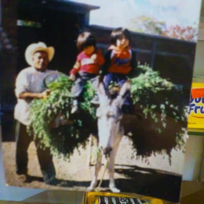 La Oaxaquena Juices by null