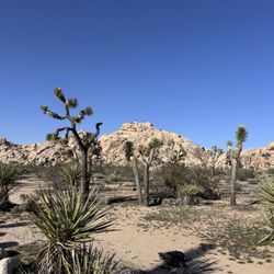 Barker Dam Trail