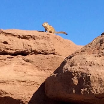 Dead Horse Point State Park - Hiking Near Me - Moab, Utah
