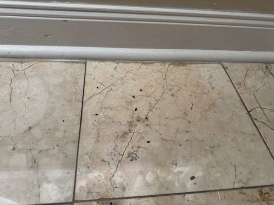 The Buccaneer Resort St. Croix, U.S. Virgin Islands by null