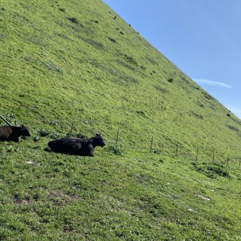 Mission Peak Trail Head - Hiking Near Me - Fremont, California