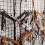 Photo of American Horse Products
