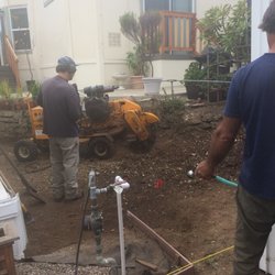 Soquel Tree Service