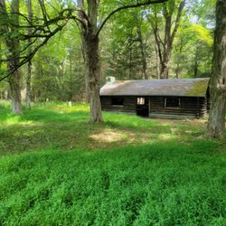 McLean Game Refuge - It's safe, but looks like something out of a horror movie