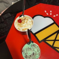 The Ice Cream Stop - Brownie Sunday and mint moose tracks.
