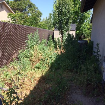 J & J Gardening - Before side - Gardeners Near Me J & J Gardening - Before side - Gardeners Near Me