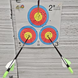 Bill Pellegrino's Archery Hut - I still got it!