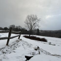 Sugarbush Farm  Maple Syrup & Cheese