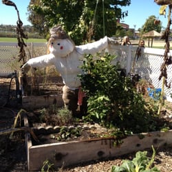 Lake Elementary School - The garden ...