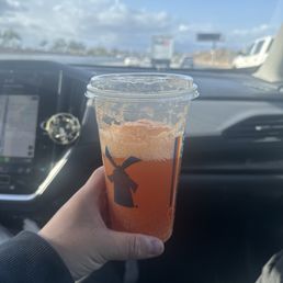 Pink Flamingo Iced Rebel