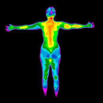 The Thermography Center - Diagnostic Imaging Near Me - Ventura, California The Thermography Center - Diagnostic Imaging Near Me - Ventura, California