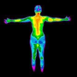 The Thermography Center