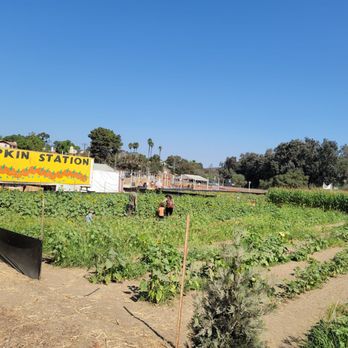 Pumpkin Station - Kids Activities Near Me - Bonita, California Pumpkin Station - Kids Activities Near Me - Bonita, California