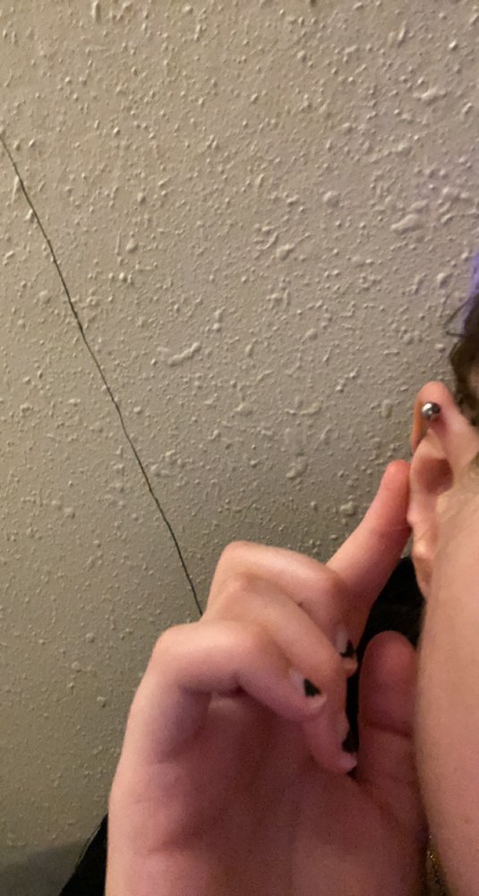 Broken Butterfly Tattoo & Piercing Logo