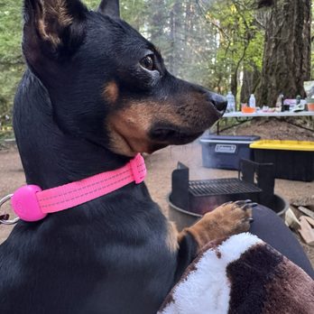 Moss Creek Campground - Campgrounds Near Me - Bingen, Washington