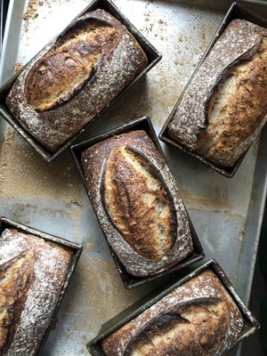 BReD - Organic Sourdough by null