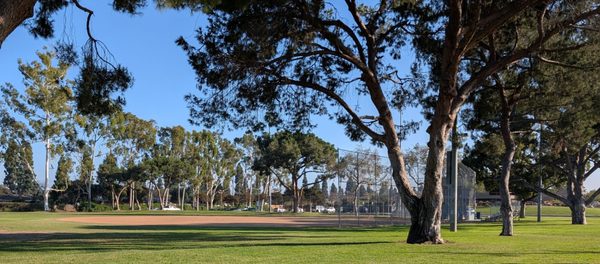 Mayfair Park by null