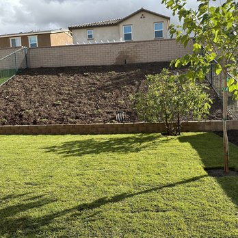 Camarena Landscapes - a backyard with a fenced in area - Landscaping Near Me Camarena Landscapes - a backyard with a fenced in area - Landscaping Near Me