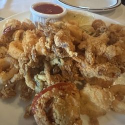 Coach Stop - Calamari