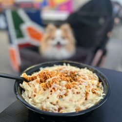 Eggmania - Spicy Volcano Biryani: Boiled Egg Rice w/ omelet base, cheese, center gravy, sub butter | $18.97 (center gravy is missing)