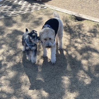 Chaparral Off Leash Area - New friend - Dog Parks Near Me - Scottsdale, Arizona Chaparral Off Leash Area - New friend - Dog Parks Near Me - Scottsdale, Arizona