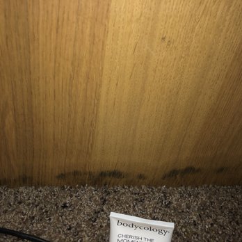 California Prime Properties - Wet carpet from water coming from outside - Property Management Near Me - Modesto, California California Prime Properties - Wet carpet from water coming from outside - Property Management Near Me - Modesto, California