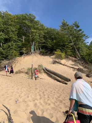 P. J. Hoffmaster State Park by null