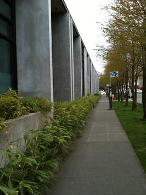 MariPili at Café Frieda by null