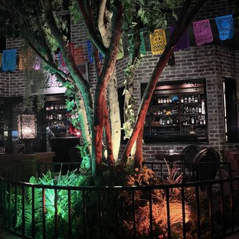 Undertow - Arcadia - Tiki Bars Near Me - Phoenix, Arizona
