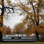 Photo of La Péniche