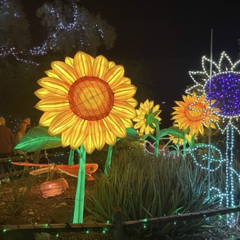 Zoolights - Zoos Near Me - Phoenix, Arizona