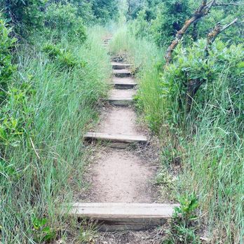 Roxborough State Park - Steps on trail - Parks Near Me - Littleton, Colorado Roxborough State Park - Steps on trail - Parks Near Me - Littleton, Colorado