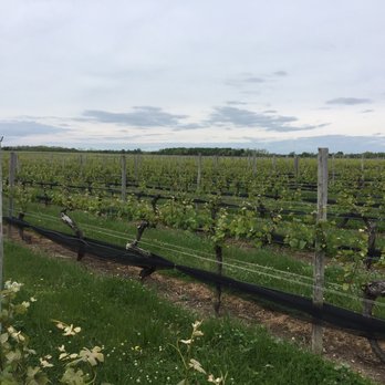 Pindar Vineyards - Wineries Near Me - Peconic, New York Pindar Vineyards - Wineries Near Me - Peconic, New York