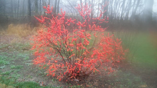 Northern Fauquier Community Park by null